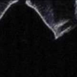 Meet your Posher, Nellie